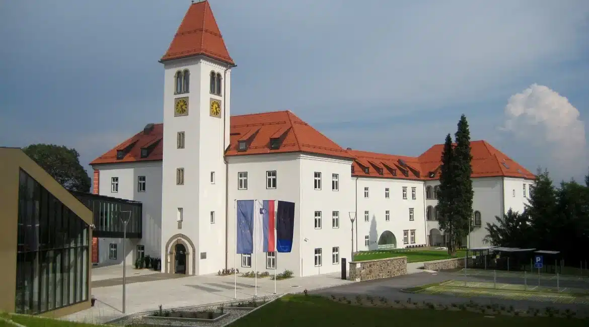 Slovenia vs . Slovakia