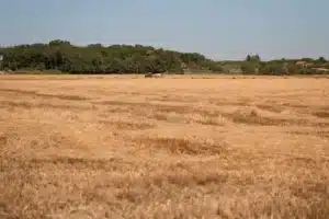 Slovenia's Poorest Region