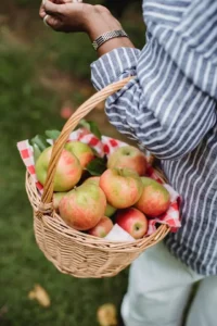 Discovering Slovenian Food
